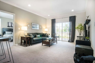 Apartment living room with couch, end tables, coffee table, and natural light through a sliding door